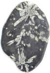 div. Formen, Chrysanthenum 9 x 6 cm [Bild]