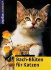 Bach-Blüten für Katzen