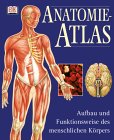 Anatomie-Atlas