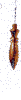 Karnakpendel, Messing, 4 g [Bild]