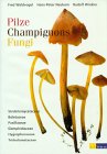 Pilze, Champignons, Fungi, Bd.1, Strobilomycetaceae, Boletaceae, Paxillaceae, Gomphidiaceae, Hygrophoraceae, Tricholomataceae